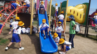IMGP0706