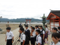 IMGP1587