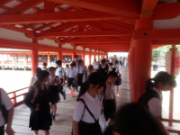 IMGP1598