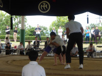 IMGP0836