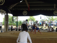 IMGP0844