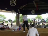 IMGP0845