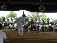 IMGP0854