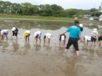 IMGP2015