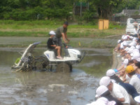 IMGP2079
