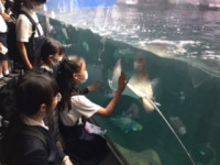 1日目宮島水族館 (3)