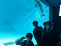 1日目宮島水族館 (5)