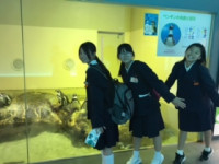 1日目宮島水族館 (9)