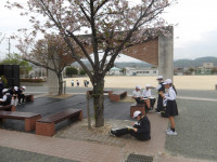 IMGP0596