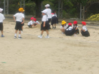 IMGP2271