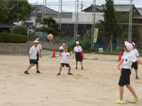 IMGP2628