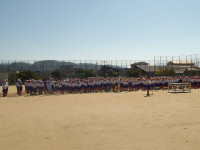 IMGP2935