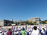 IMGP2948