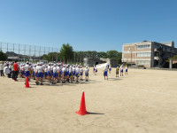 IMGP2950